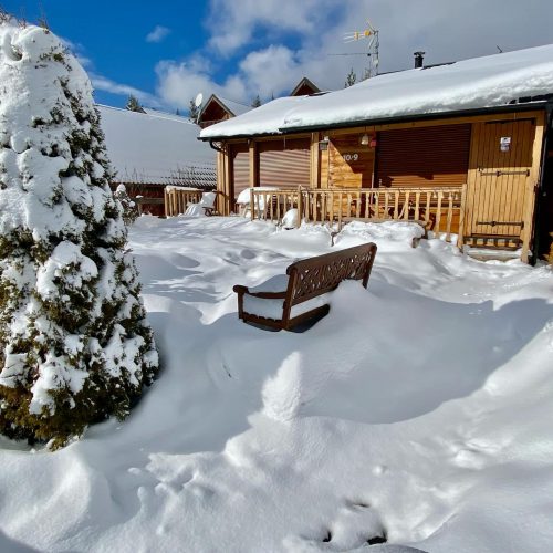 Chalet en hiver